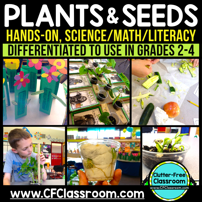 Plant and Seeds Unit