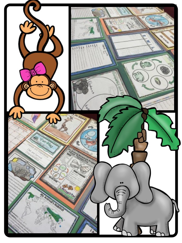 animal research project printable