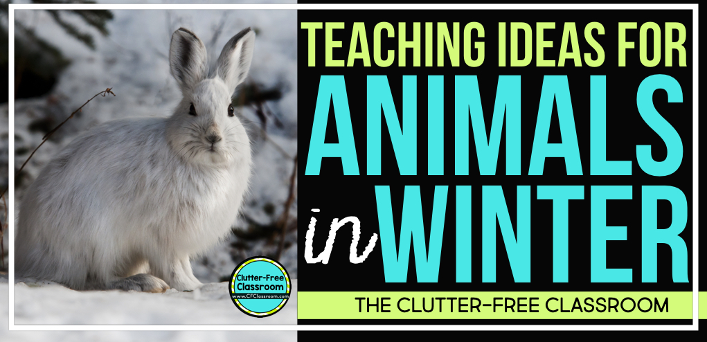 Animals in Winter Activities for Elementary Students in 2023 - Clutter-Free  Classroom | by Jodi Durgin