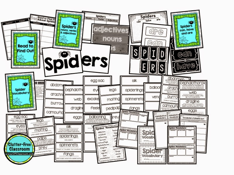 spider activities for elementary students