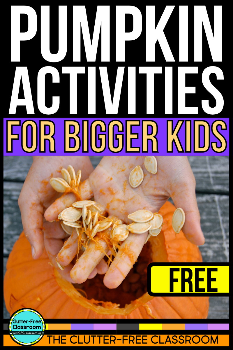 an elementary student counting pumpkin seeds