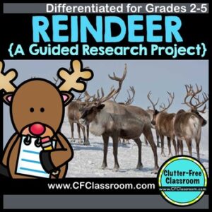 reindeer research project