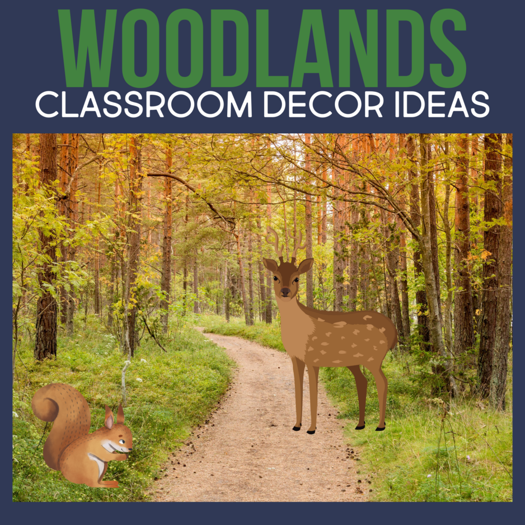 woodlands classroom decor ideas