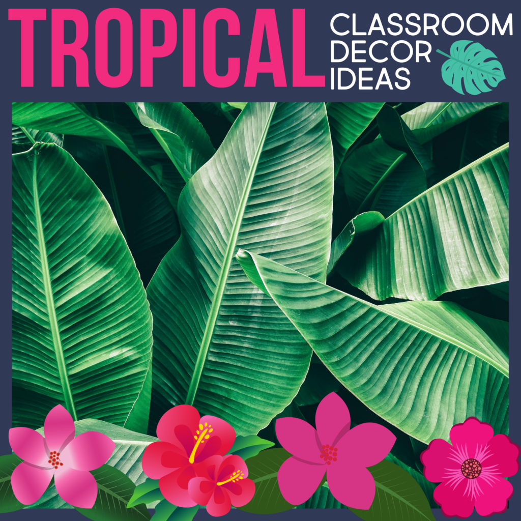 Tropical Classroom Theme Ideas For Elementary Teachers In 2024