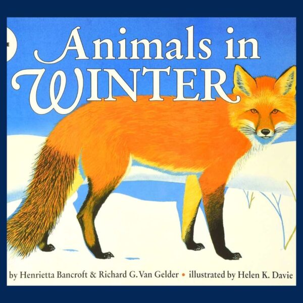 15 Animals in Winter Books for Kids Every Classroom Library Needs
