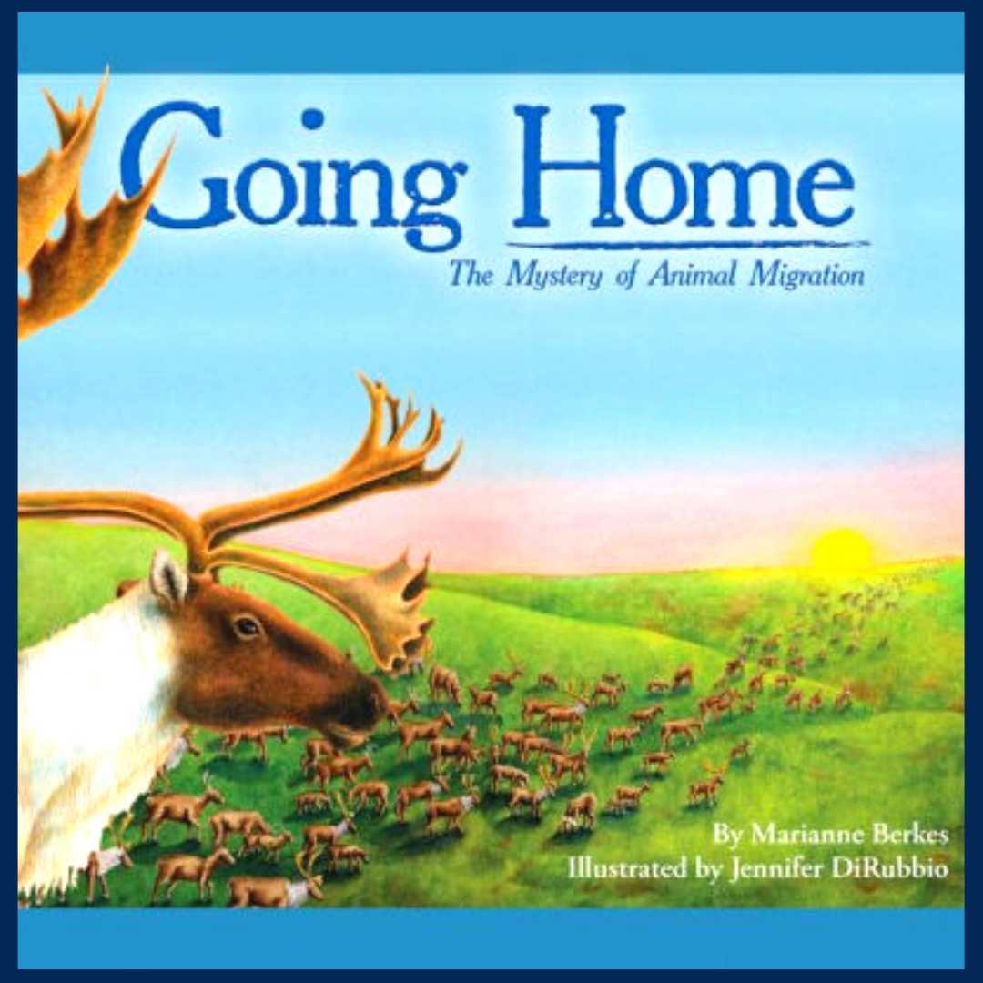 15 Animals in Winter Books for Kids Every Classroom Library Needs