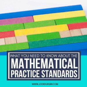 colorful wooden math manipulatives