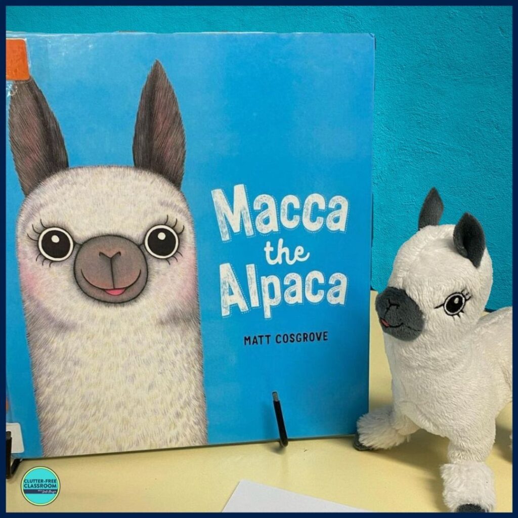 Macca the Alpaca book cover and stuffed animal