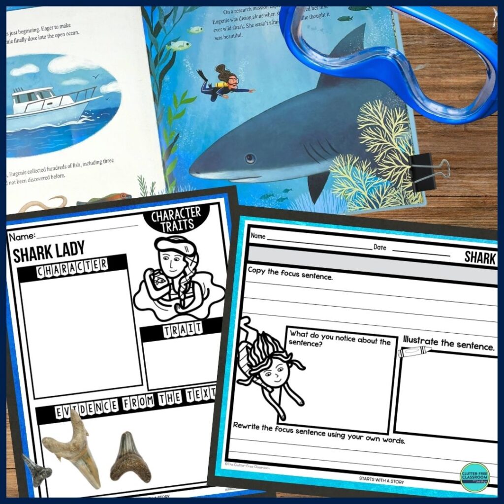 Shark Lady worksheets