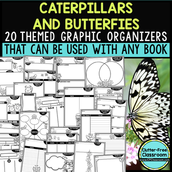 caterpillar and butterfly reading graphic organizer worksheet activities