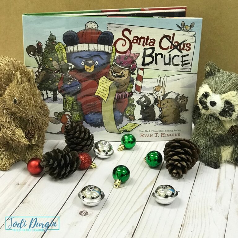 Santa Bruce book cover