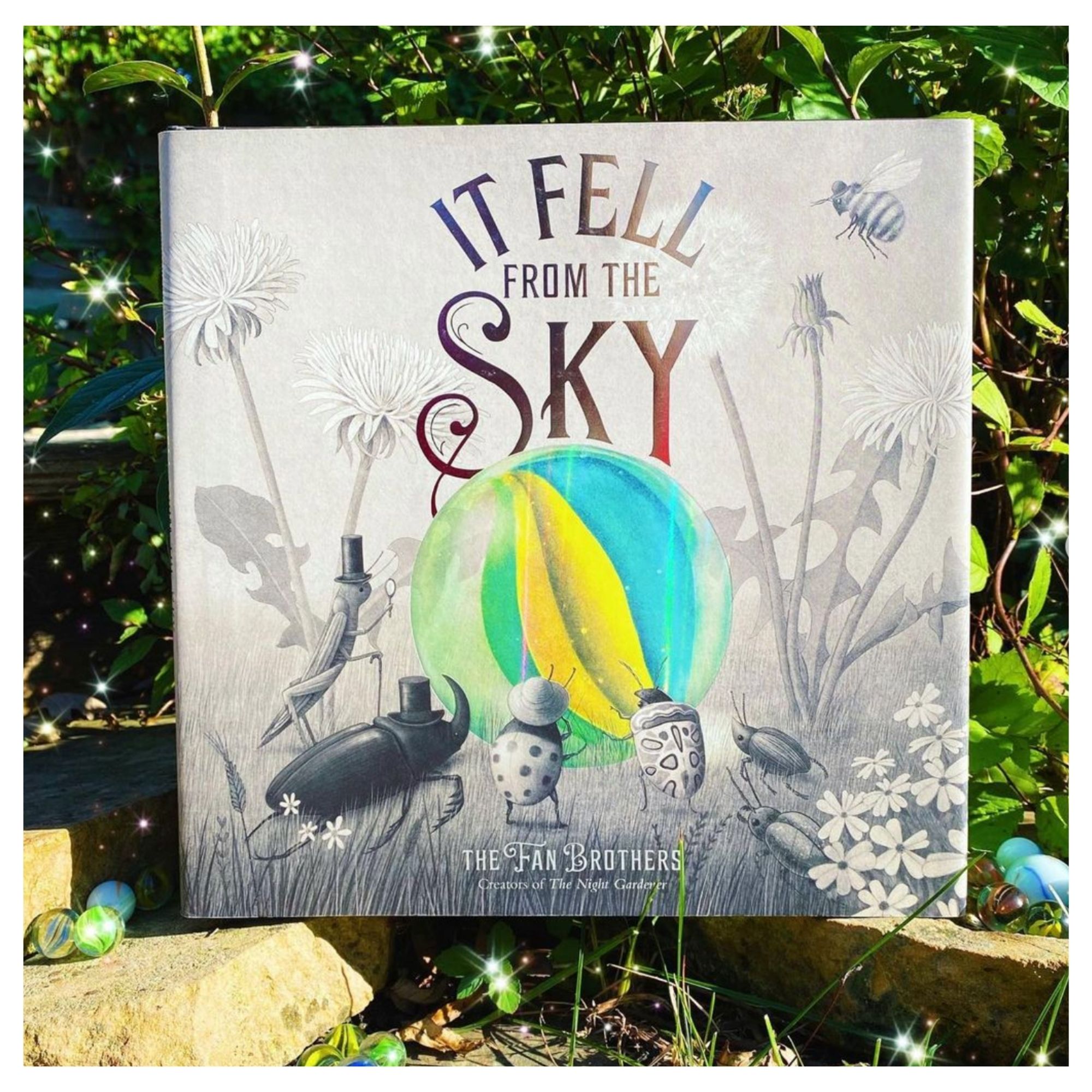 It Fell From the Sky Activities and Lesson Plans for 2024 Teaching