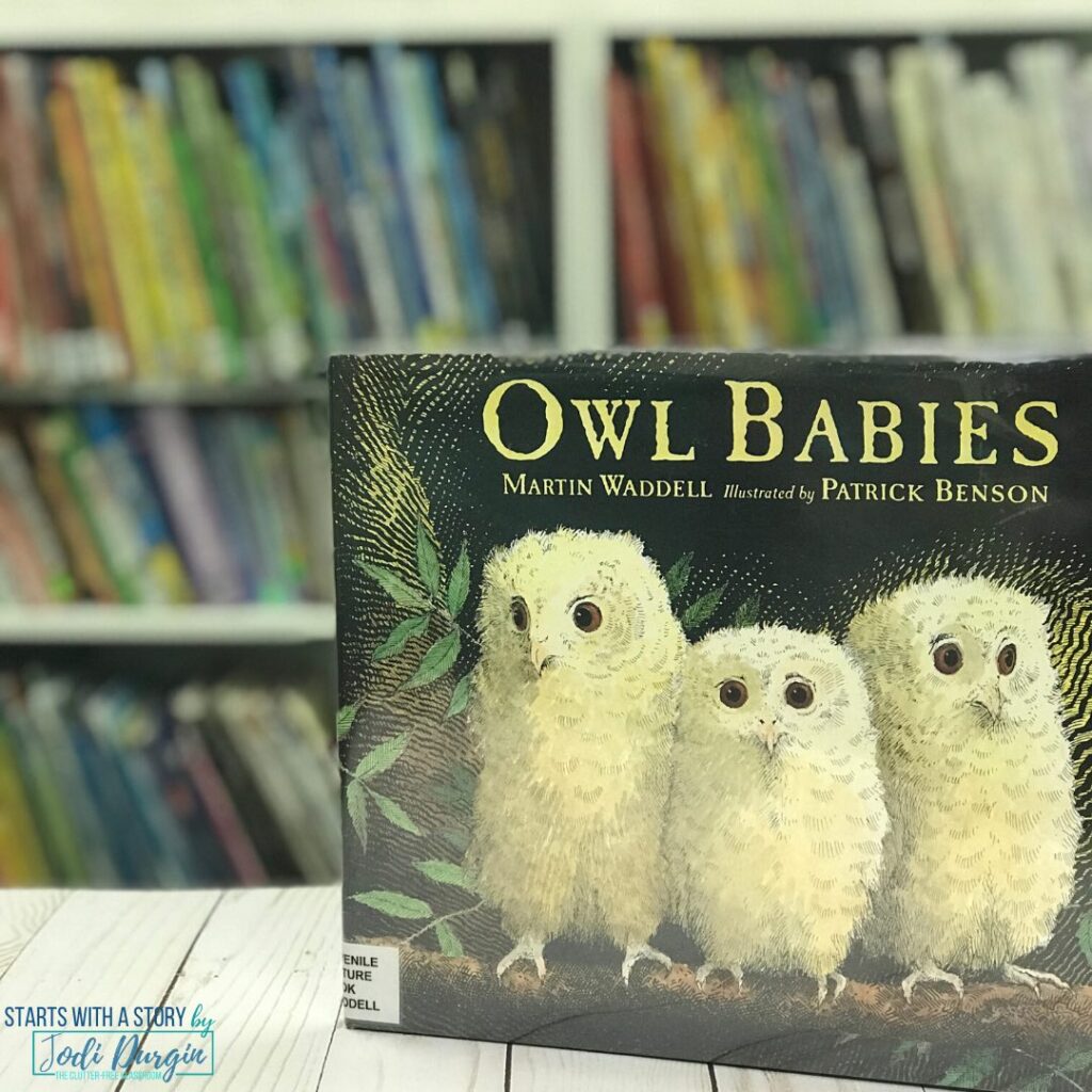 Owl Babies book cover