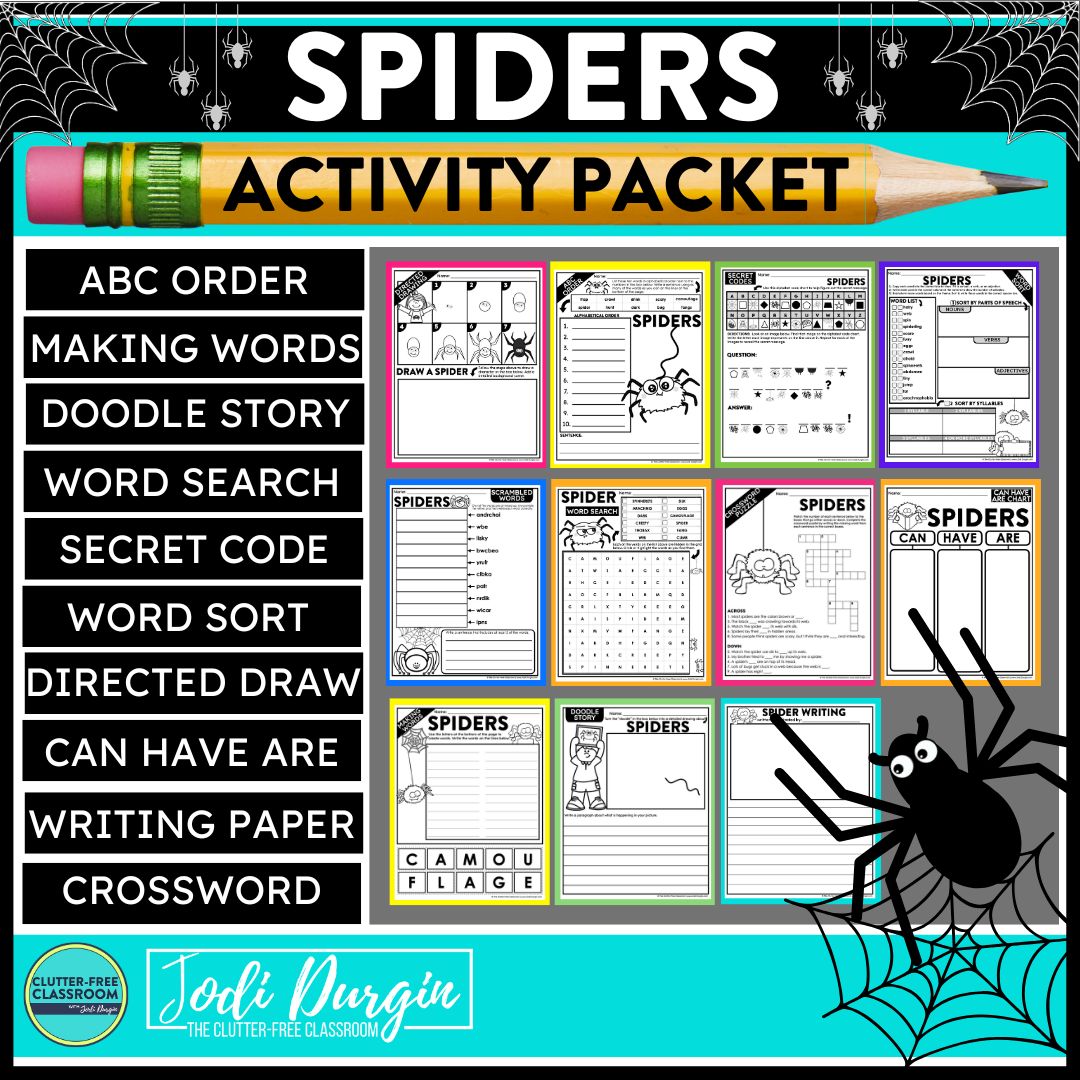 spider worksheets