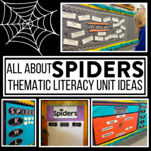 all about spiders thematic literacy unit ideas