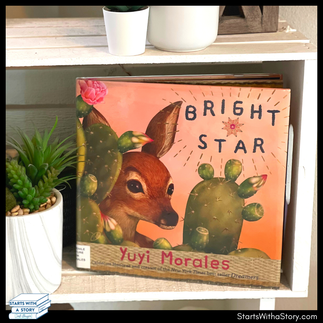 Bright Star book cover