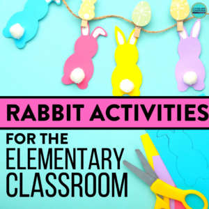 rabbit activities