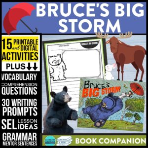 Bruce's Big Storm book companion