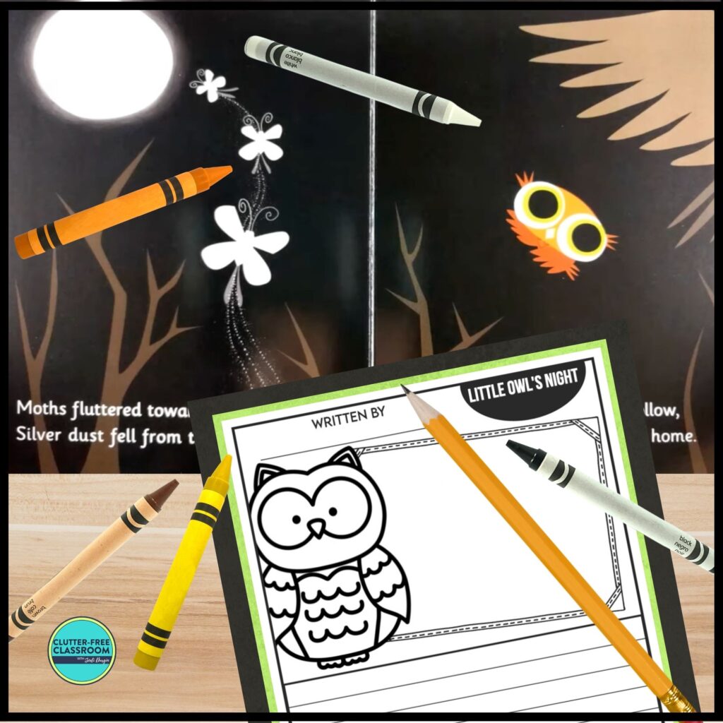 Little Owl's Night book companion activities