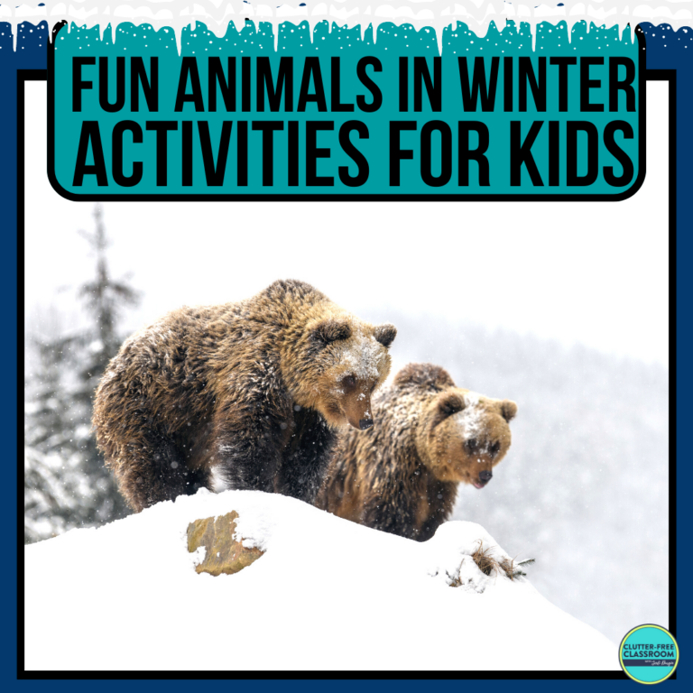 animals in winter activities