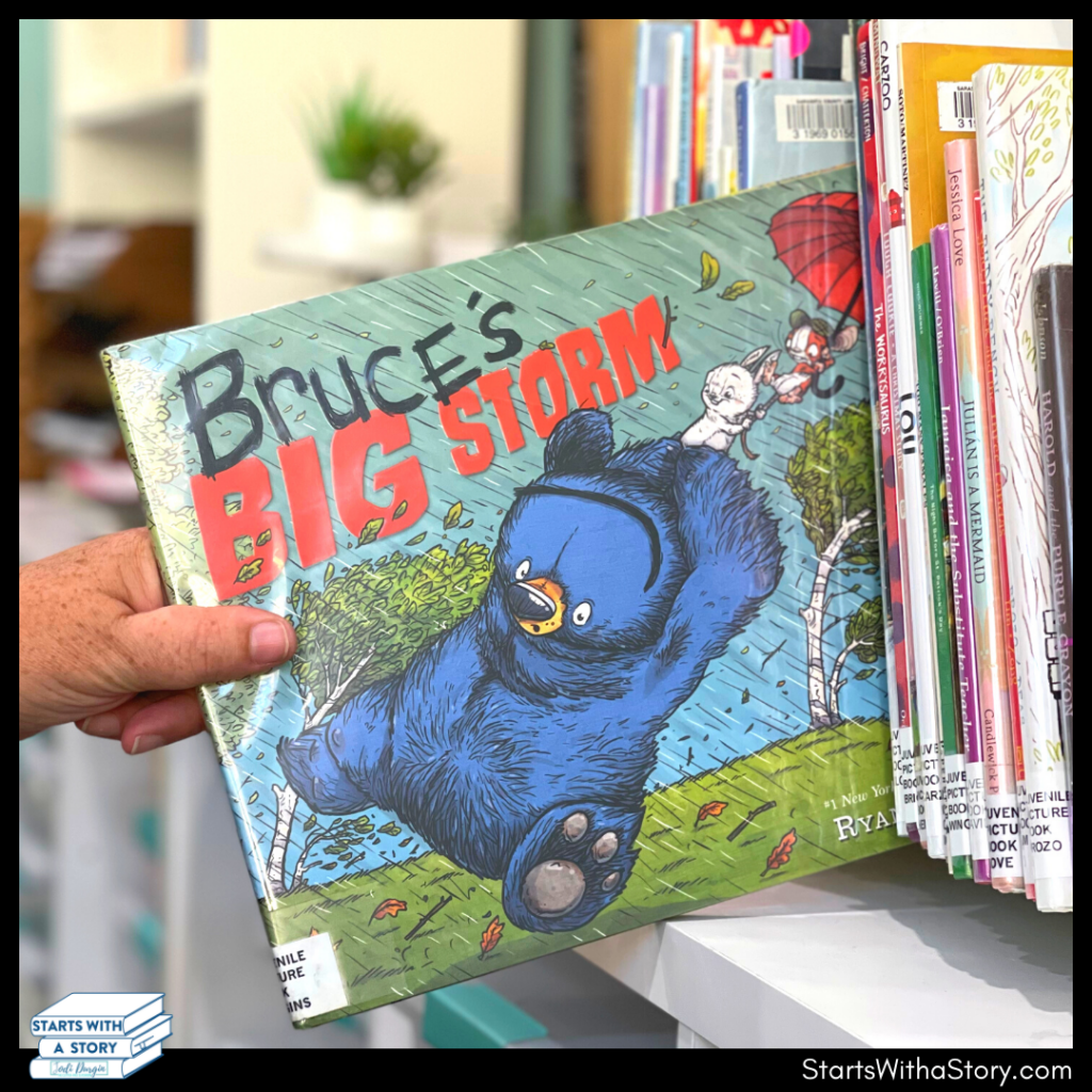 Bruce's Big Storm book cover