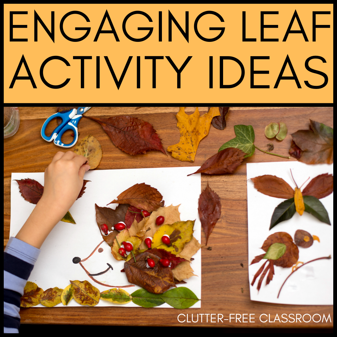 Leaf Activities For Middle School