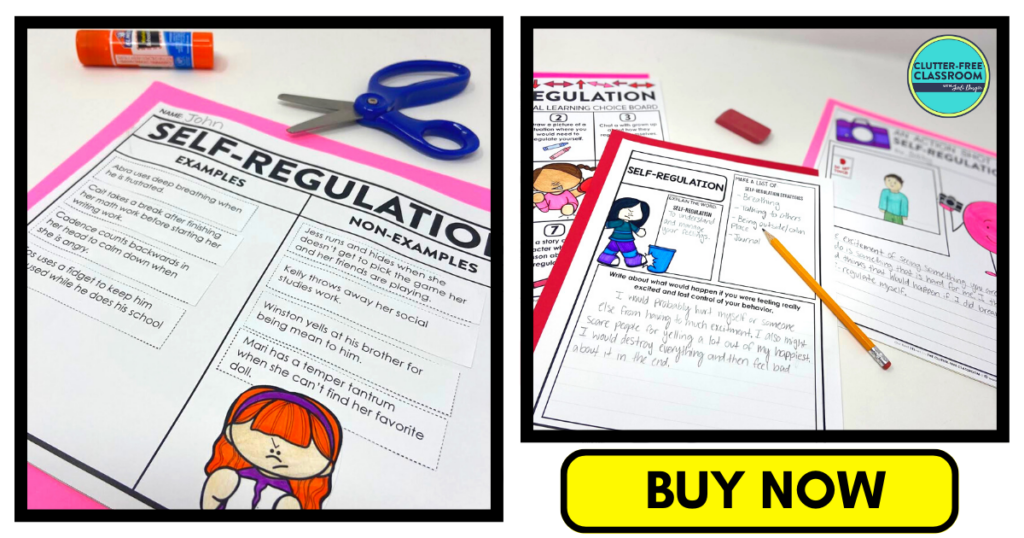 self-regulation sorting activity and writing activities