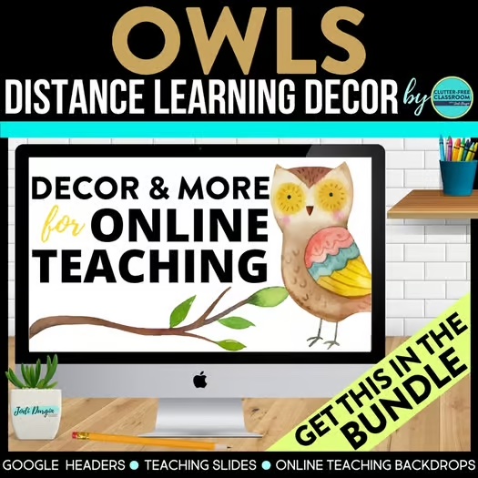 owl-themed teaching slides