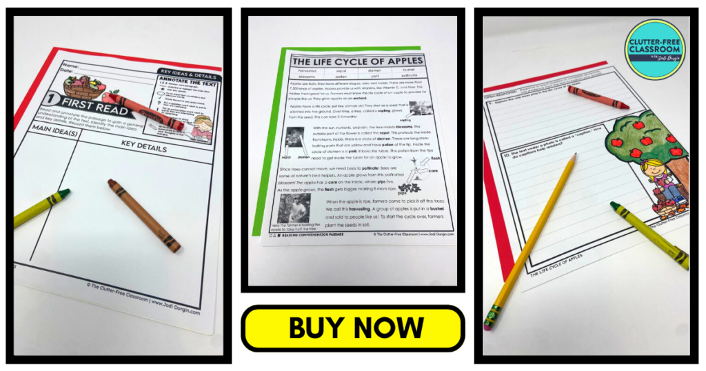 Three reading comprehension worksheets about apples