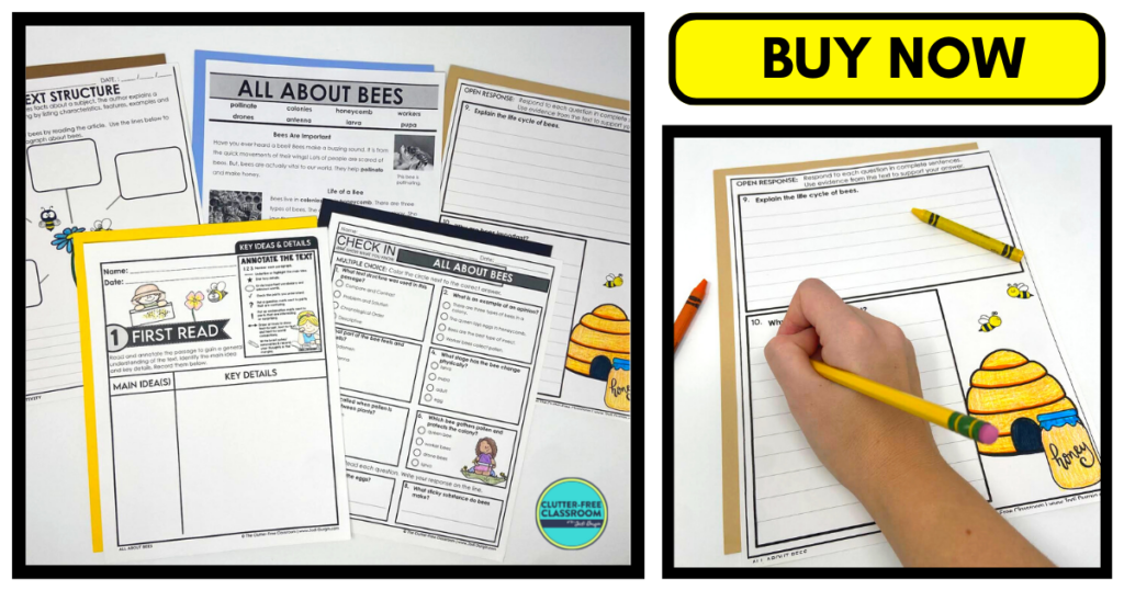 Five all about bees literacy activities accompanied by a worksheet close-up