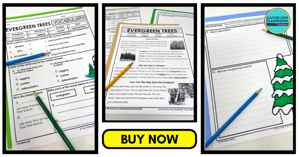 Three evergreen tree literacy worksheets