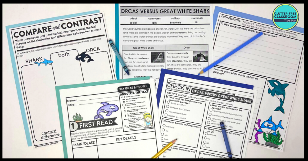 Five orcas versus great white shark literacy activities