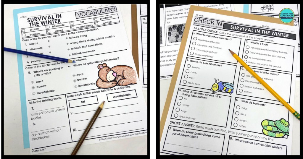 Two survival in the winter literacy worksheets
