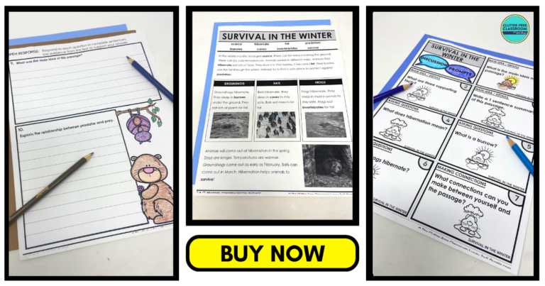 Groundhog Day Reading Comprehension Activities for 2nd, 3rd, and 4th ...