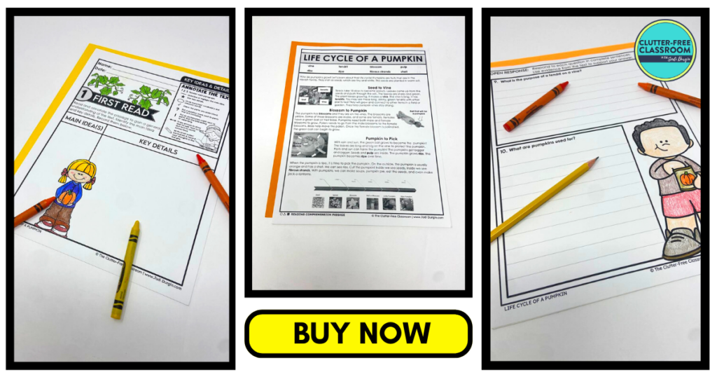 Three literacy worksheets about the life cycle of a pumpkin