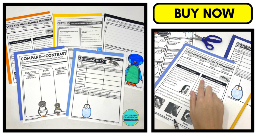 Five literacy worksheets about cold and warm climate penguins accompanied by one worksheet close-up