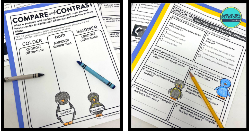 Two literacy worksheets about cold and warm climate penguins