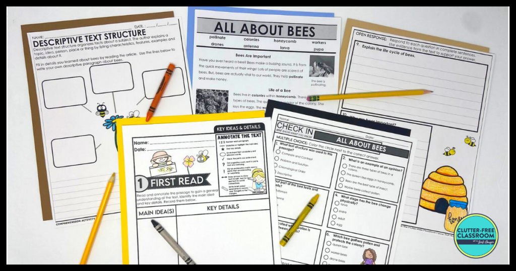 Five all about bees reading comprehension worksheets