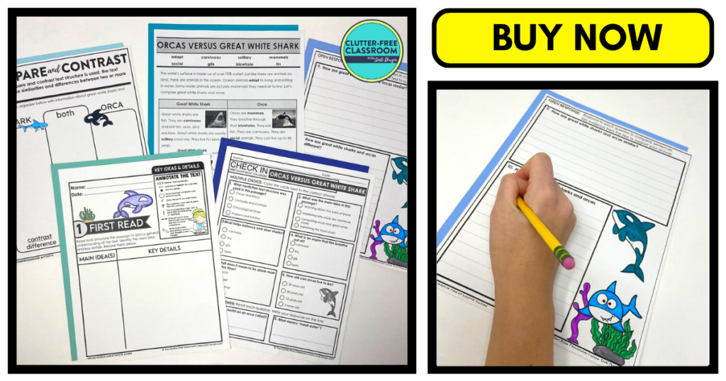 Five shark reading comprehension activities accompanied by a worksheet close-up