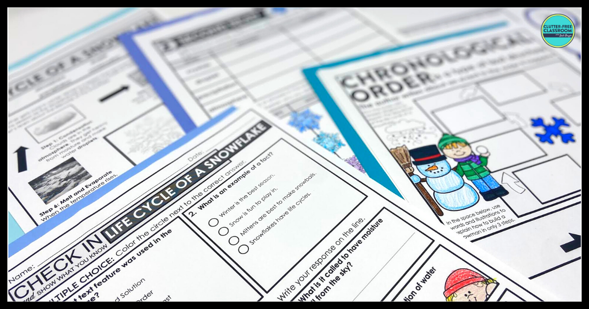 Snow Reading Comprehension Activities for 2nd, 3rd, and 4th Grade