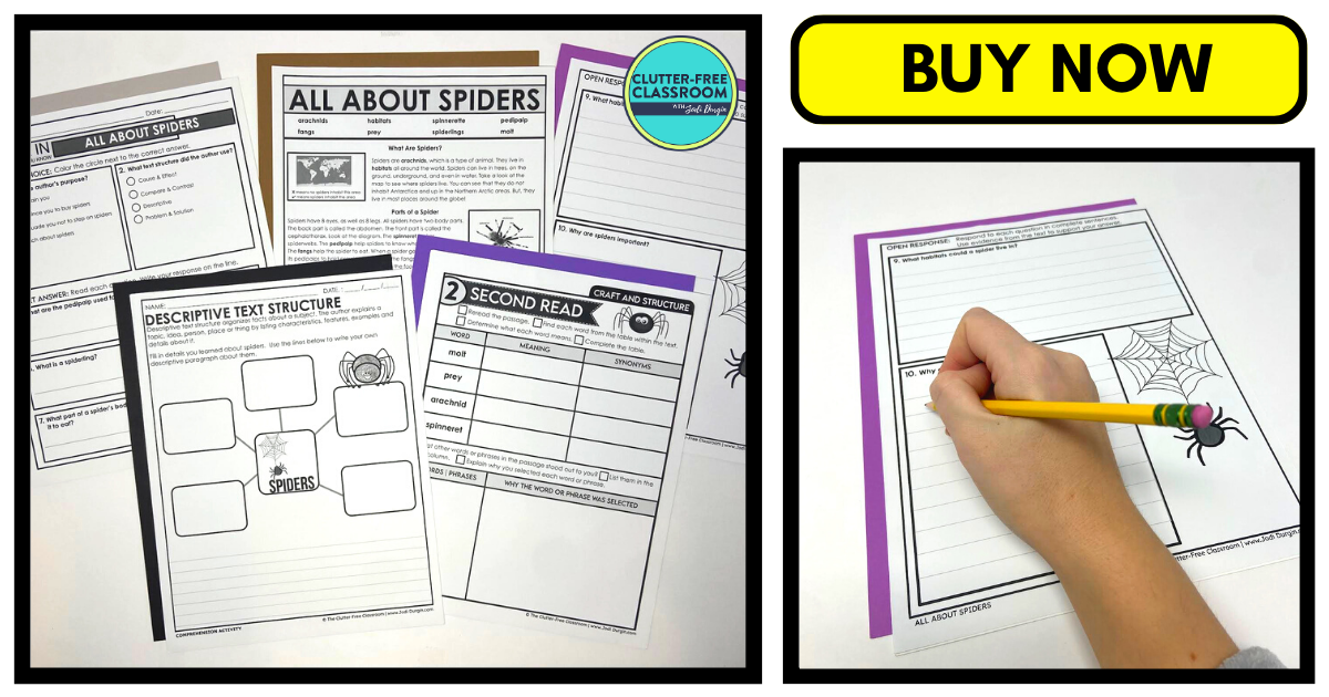 Spider reading comprehension activities for 2nd 3rd and 4th grade
