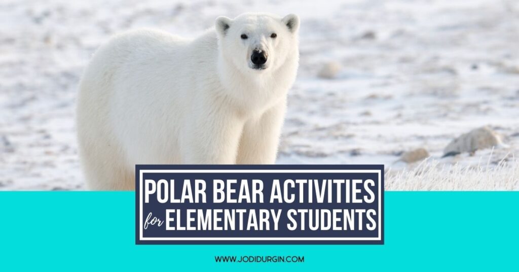 Polar Bears activities for elementary students