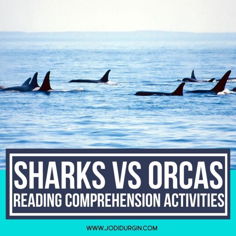 shark reading comprehension activities