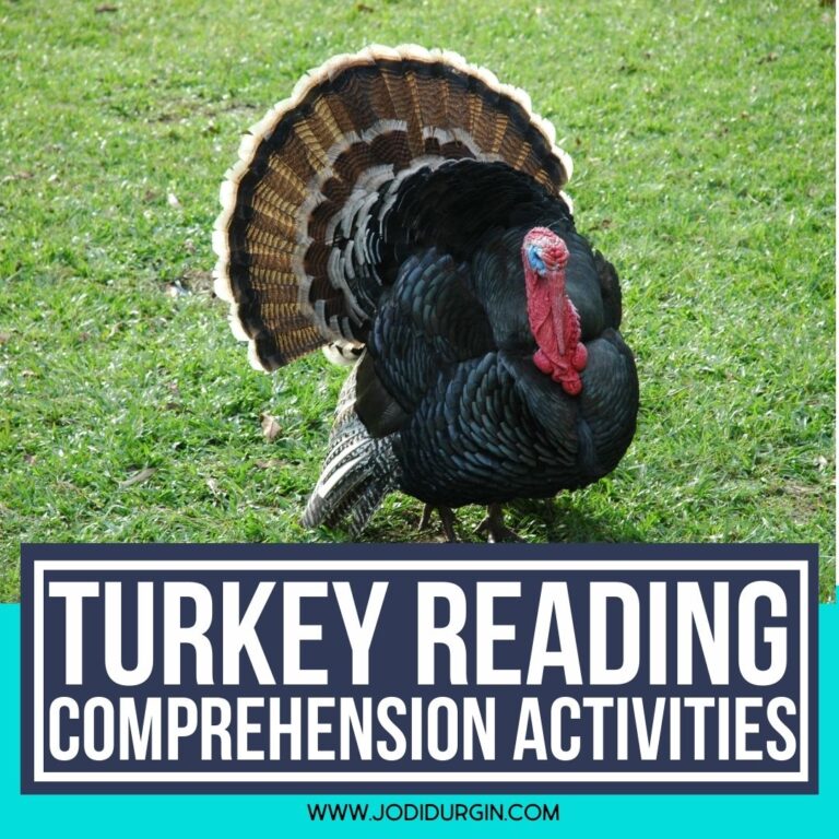 turkey reading comprehension activities