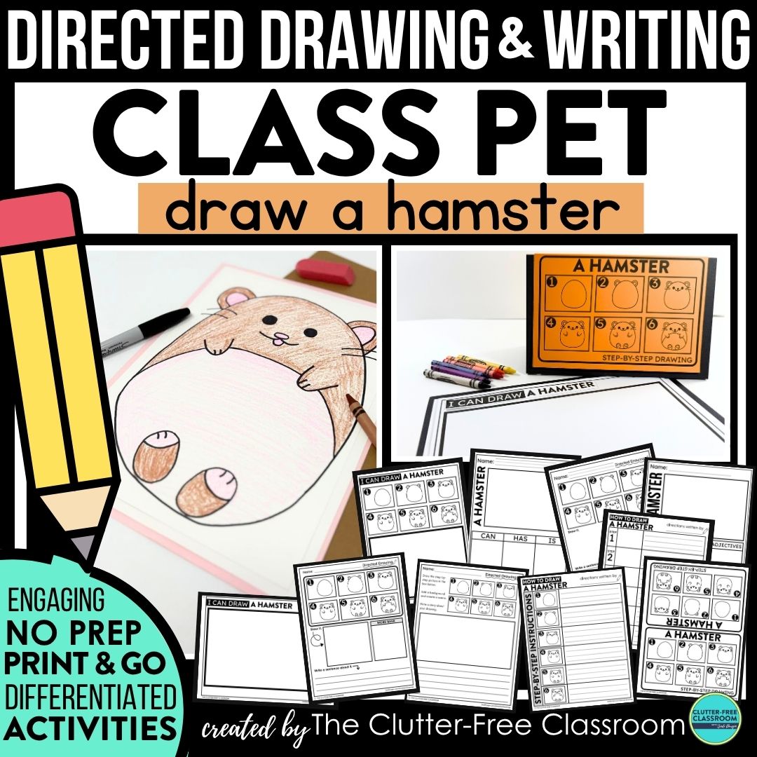 class pet directed drawing activities
