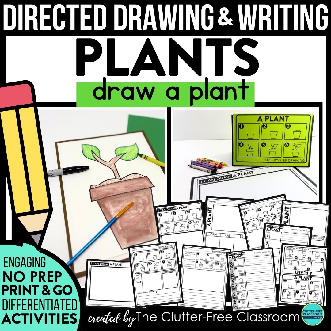plant directed drawing activities
