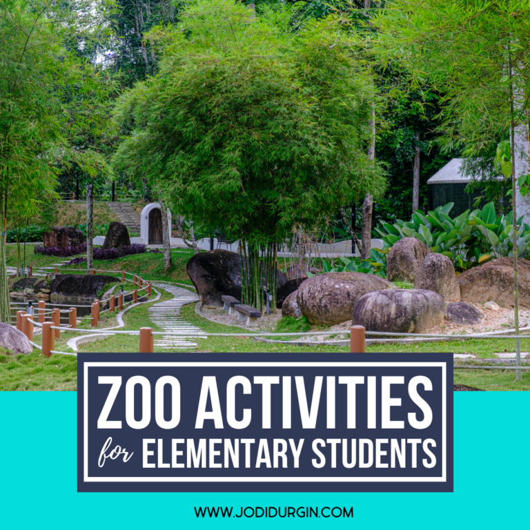 zoo activities
