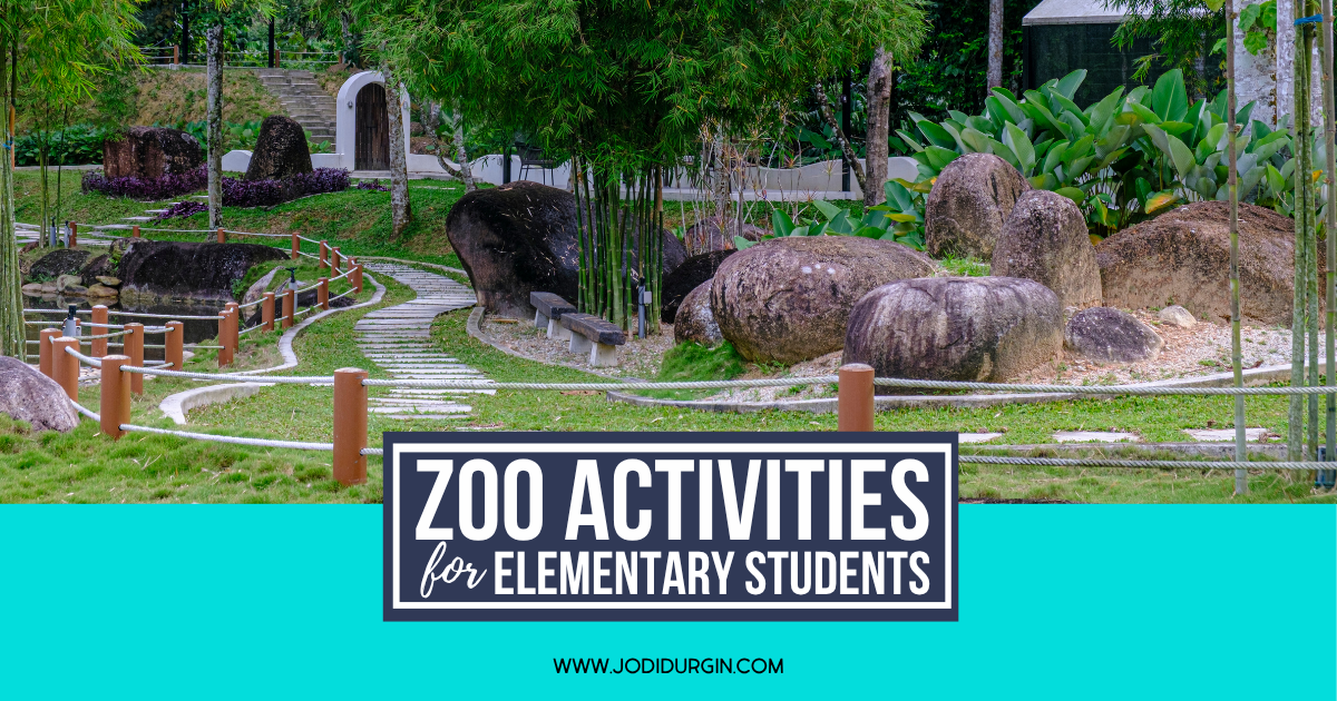 zoo activities