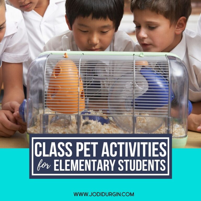 class pet activities