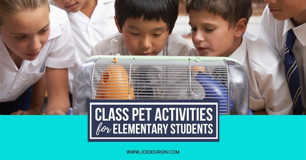class pet activities